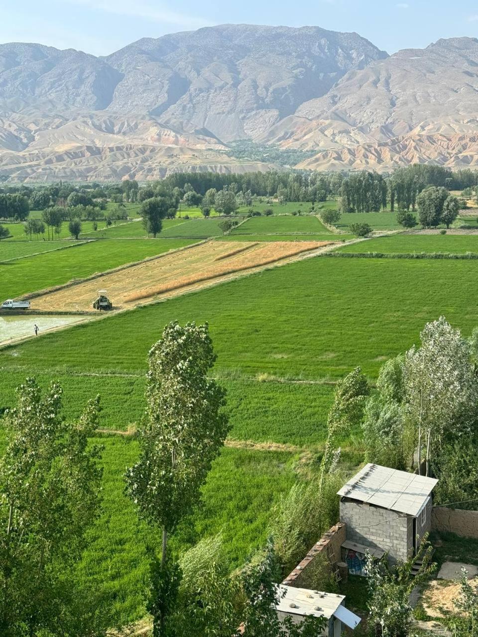 Hotel Rudaki Panjakent エクステリア 写真
